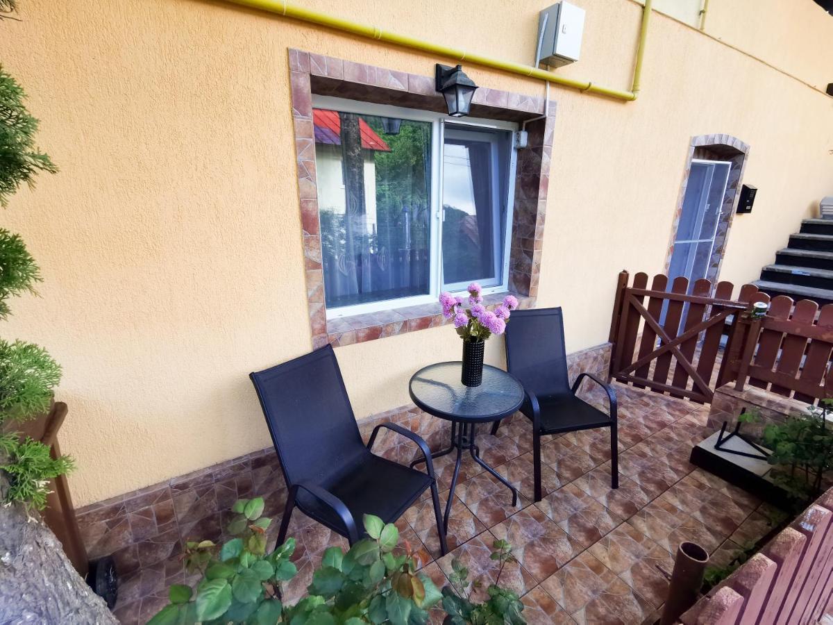 Apartament Dilama シナヤ エクステリア 写真
