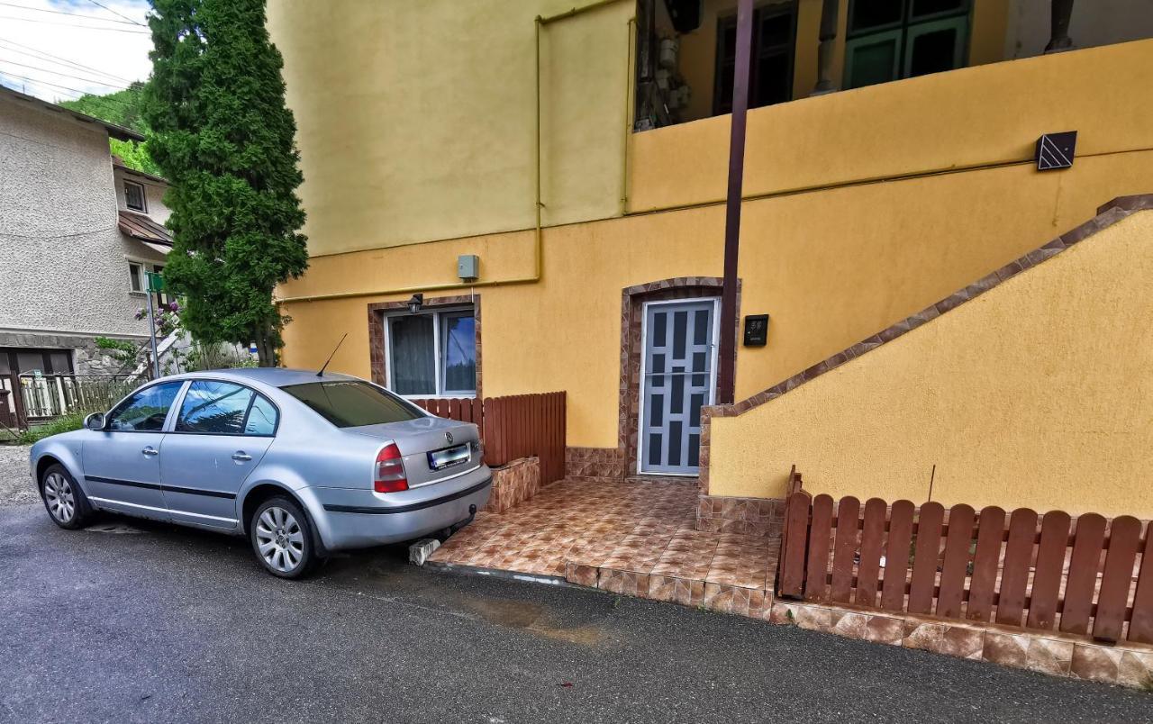 Apartament Dilama シナヤ エクステリア 写真